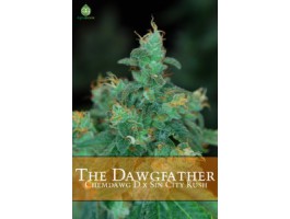 The Dawgfather Regular Seeds